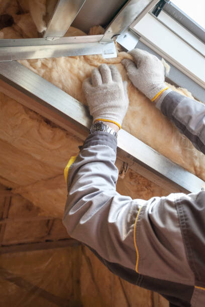 Best Geographic-Specific Insulation Services in Murphys, CA